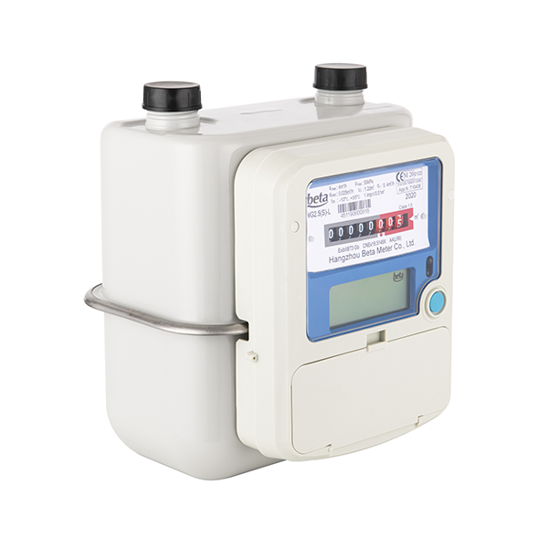 China OEM Residential gas meter Manufacturers –WG-N NB-IoT Wireless Smart Gas Meter – Holley detail pictures